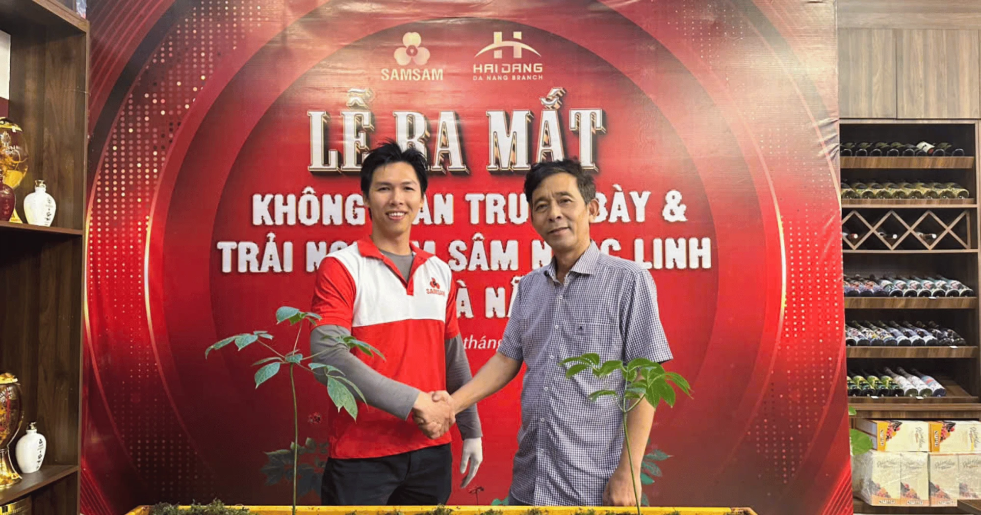 Viên Uống Hỗ Trợ Đề Kháng Sâm