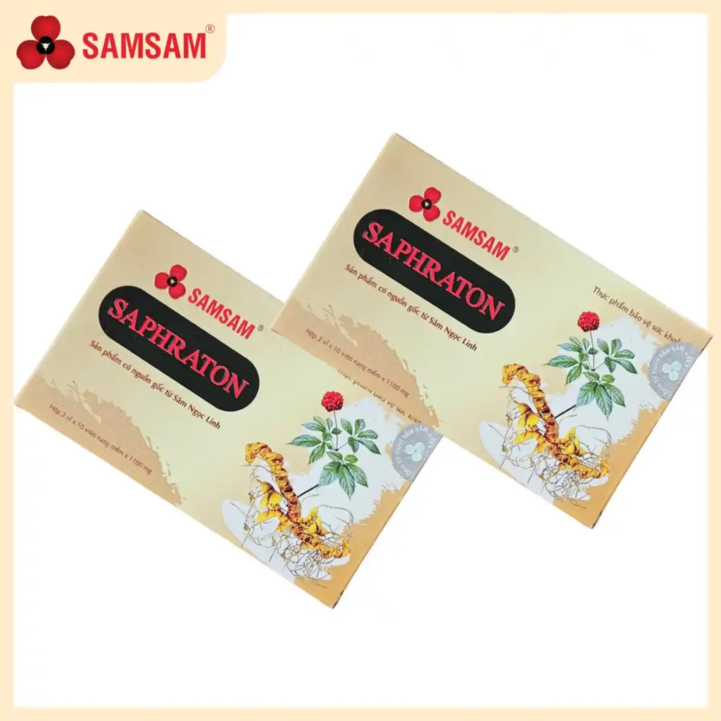 Cao Sâm Saphraton 20V Cao Cấp